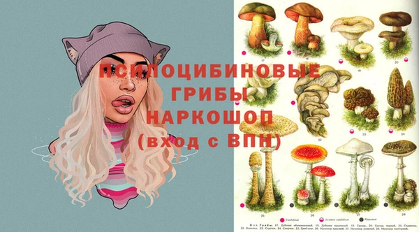 хмурый Арсеньев